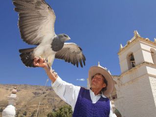 The Colca Canyon and Departure to Puno
