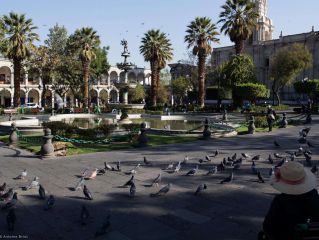 Visite d’Arequipa - Attention les yeux !