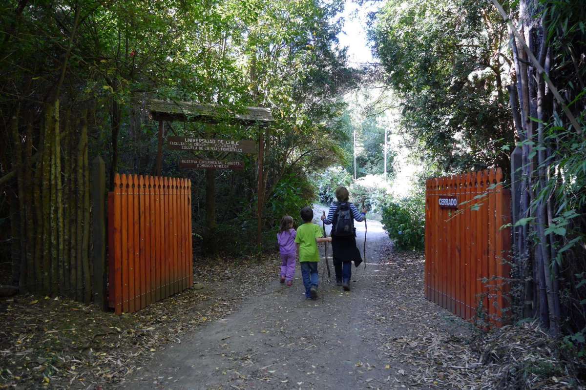 Centro Experimental Forestal Edmundo Winkler 