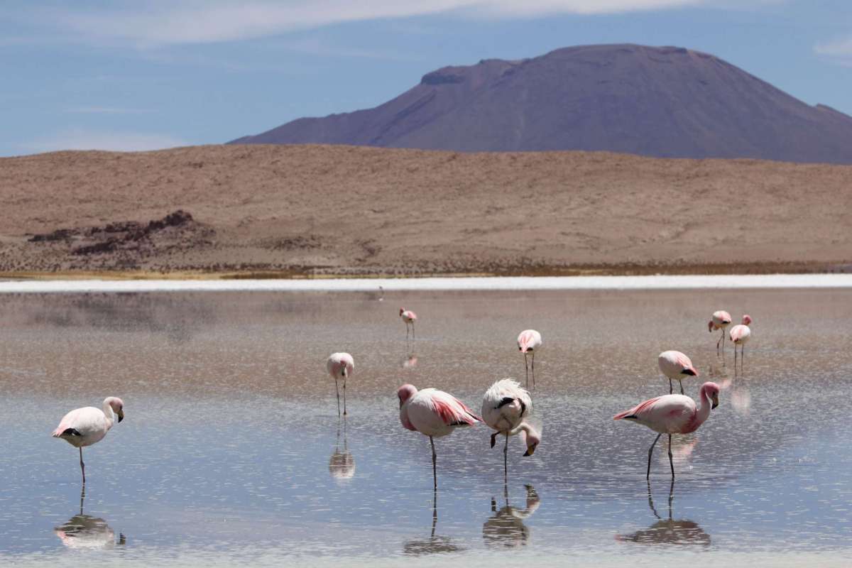 Laguna Helionda