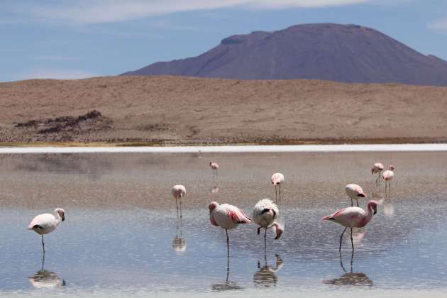 Laguna Helionda