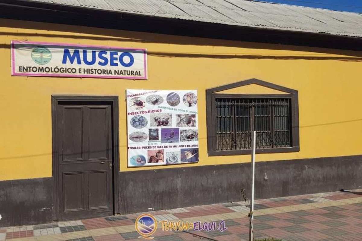 Musée enthomologique et histoire naturelle de vicuña 