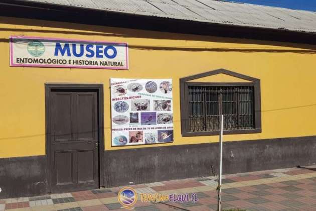 Musée enthomologique et histoire naturelle de vicuña 