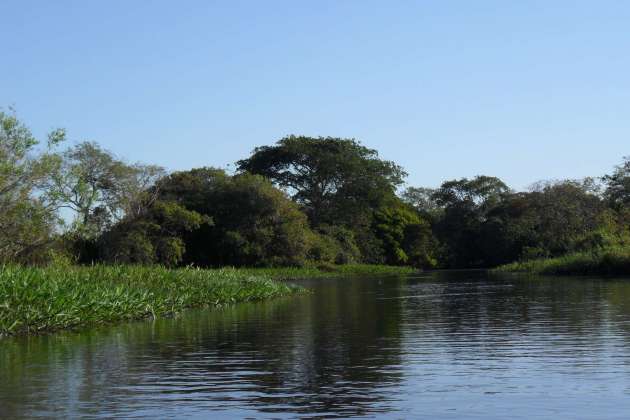 Pantanal