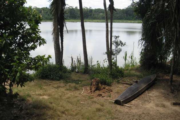 Parc National Madidi