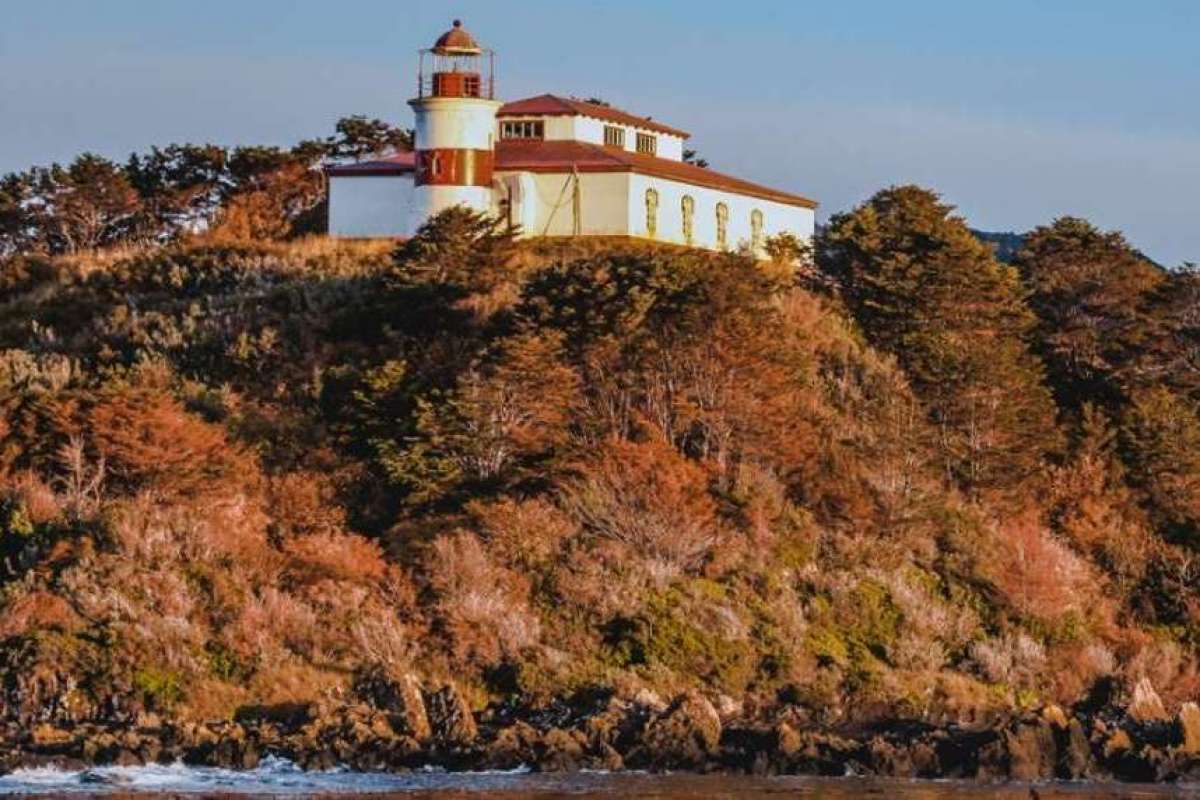 Punta árbol, Faro San Isidro et Cabo Froward 