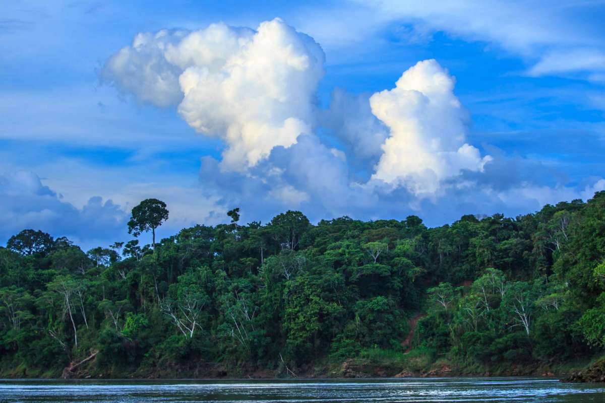 Rivière Tambopata