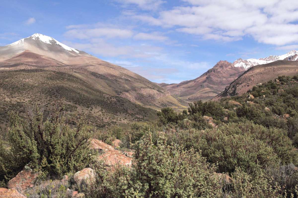 Sajama National Park