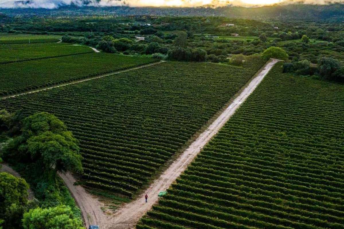 Tarija and its region
