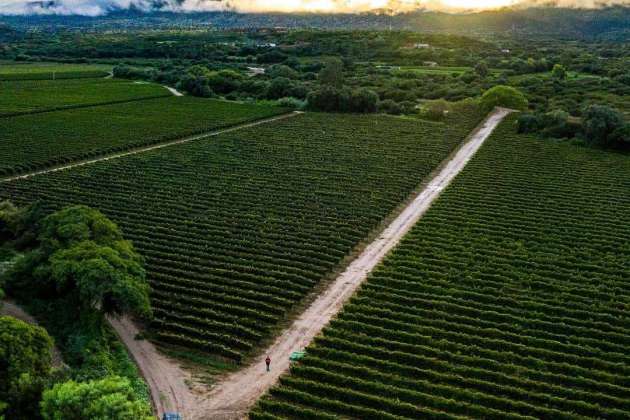 Tarija and its region
