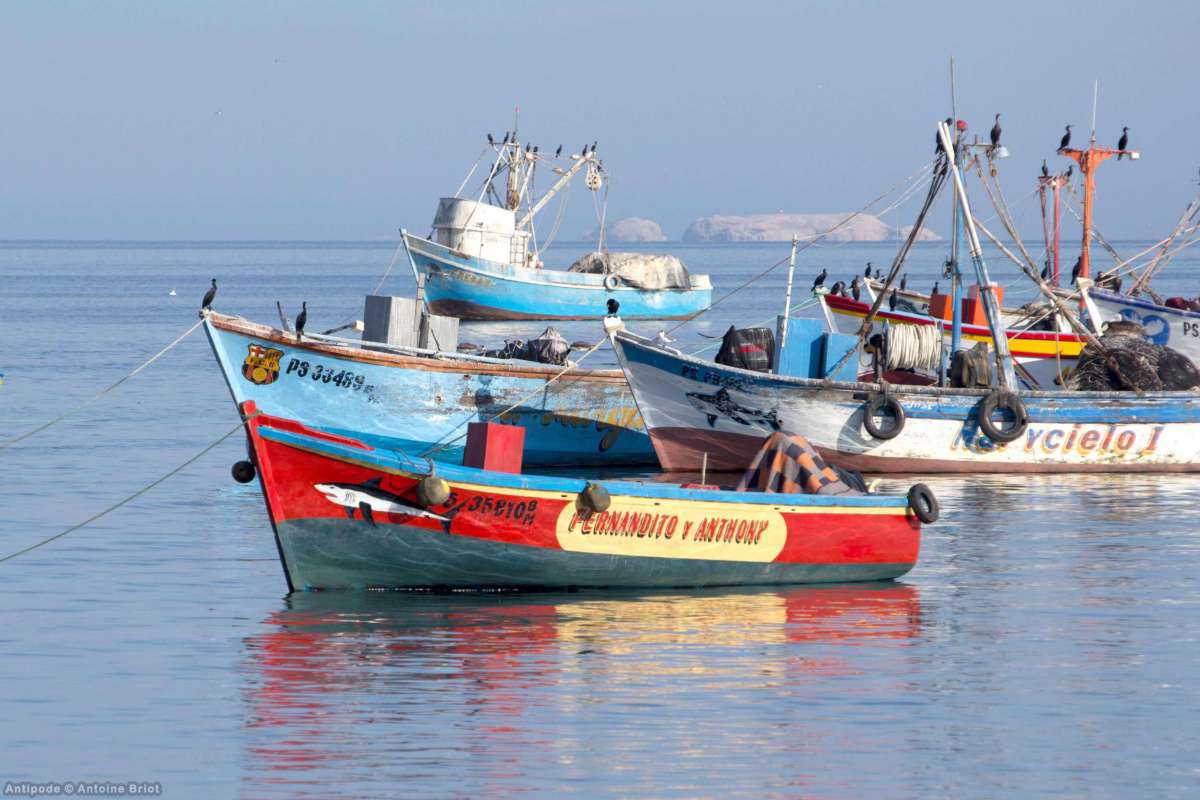 The fishing village of Lagunillas