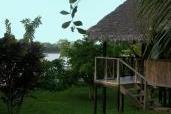 Corto maltes amazonia - Puerto Maldonado - perou - Terrasse