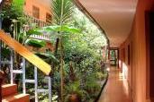 Machu-Picchu hostal - Aguas Calientes - perou - patio