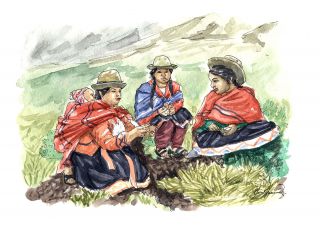 Quel est le mode de vie de la population dans les Andes ?