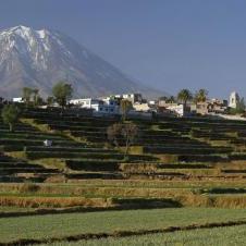 Arequipa