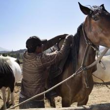 Balade à cheval à Arequipa