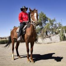 Balade à cheval à Sabandia