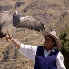Canyon de Colca
