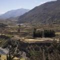 Canyon de Colca