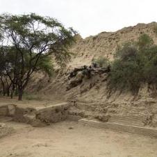 Forêt de Pomac à Chiclayo