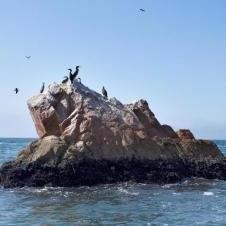Iles Ballestas