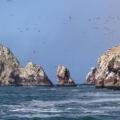 Iles Ballestas