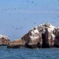 Iles Ballestas