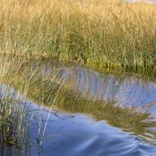 Lac Titicaca