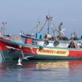Port de Paracas
