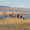 Réserve nationale de Paracas
