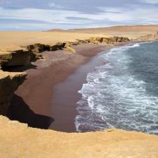 Réserve nationale de Paracas