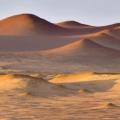 Réserve nationale de Paracas
