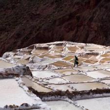 Salines de Maras - Vallée sacrée des Incas