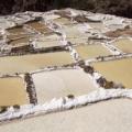 Salines de Maras - Vallée sacrée des Incas