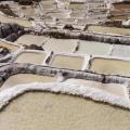Salines de Maras - Vallée sacrée des Incas