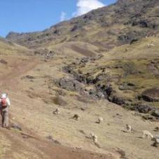 Trekking de Lares
