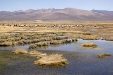 Paysages des hauts plateaux