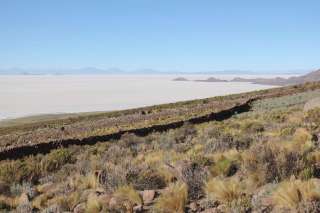 Coquesa