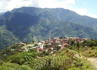 Coroico