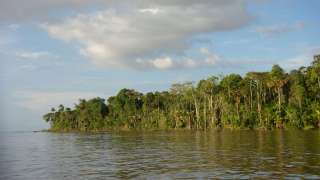 Fleuve Amazone