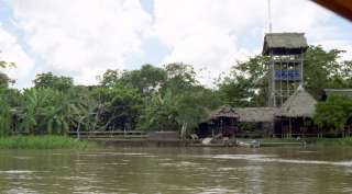 Heliconia Amazon river lodge
