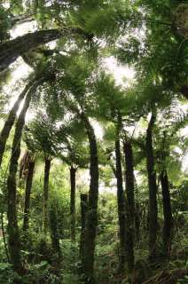 Parc national Amboro