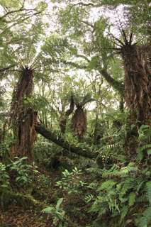 Parc national Amboro