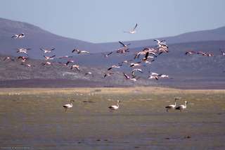 Salinas y aguadas Blanca National Reserve 