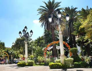 Tarija