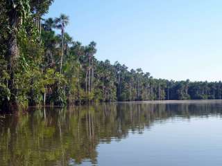 Amazonie : le lac Sandoval
