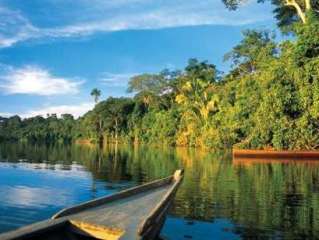 Amazonia: The Sandoval lake.