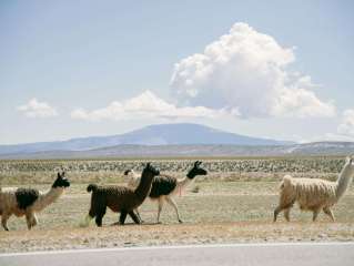 Colca Canyon