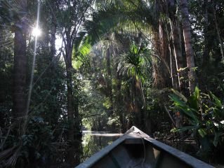 Partida hacia el Amazonas