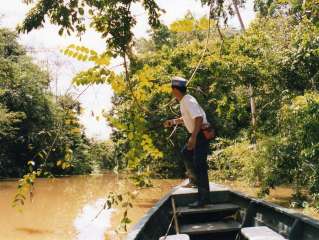 Exploration of the Amazon, its fauna and flora